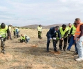 Veseli në Gjilan, mbjell fidane dhe bën thirrje për ruajtje të ambientit